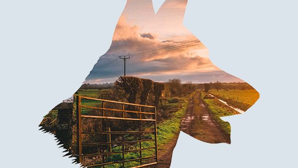 i-serbatoi-wts-gas-5