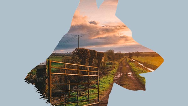 wts-gas-diventa-cliente-4