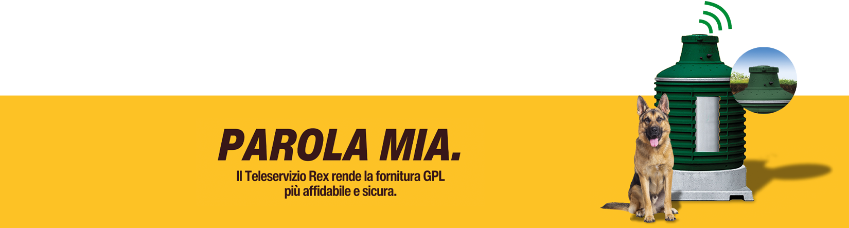 wts-gas-teleservizio-rex